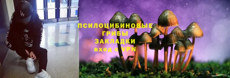 Галлюциногенные грибы Magic Shrooms  Верея 